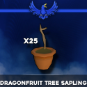 Items